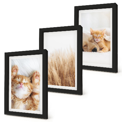 Trittico incorniciato Animali carini gatti cani erba delicata boho