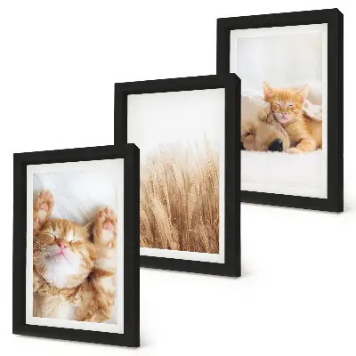 Trittico incorniciato con stampa di gatti e cani in stile boho su erba delicata