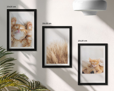 Trittico incorniciato Animali carini gatti cani erba delicata boho