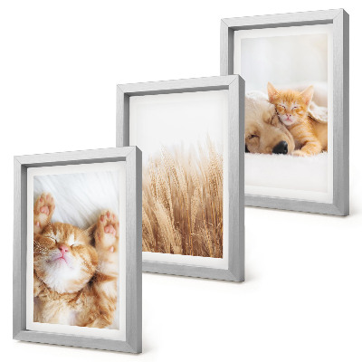 Trittico incorniciato Animali carini gatti cani erba delicata boho