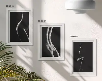 Trittico di quadri silhouette femminili in bianco e nero a tema erotico