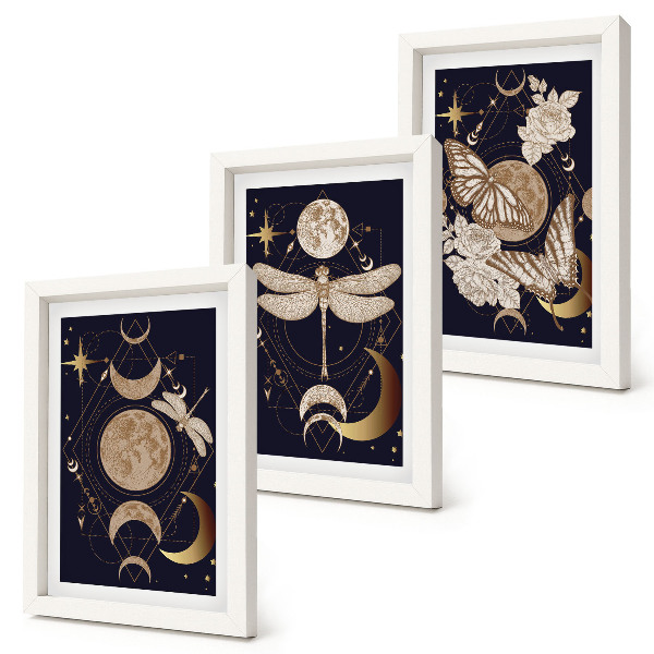 Composizione di 3 quadri Motivi naturalistici con la luna, lo spazio e i fiori.