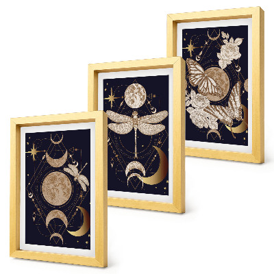 Composizione di 3 quadri Motivi naturalistici con la luna, lo spazio e i fiori.