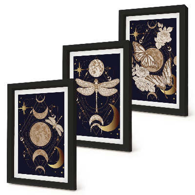 Composizione di 3 quadri Motivi naturalistici con la luna, lo spazio e i fiori.