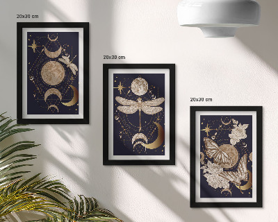 Composizione di 3 quadri Motivi naturalistici con la luna, lo spazio e i fiori.