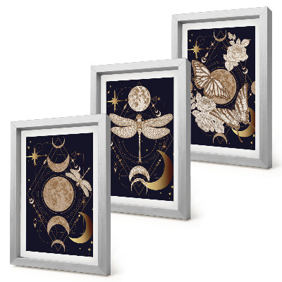 Composizione di 3 quadri Motivi naturalistici con la luna, lo spazio e i fiori.