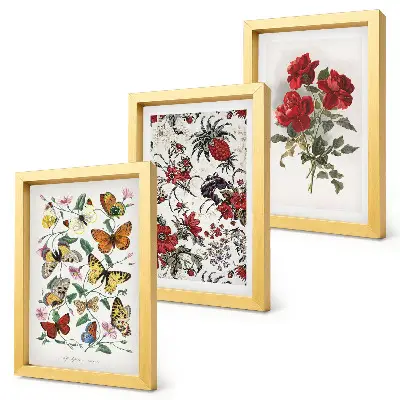 Trittico incorniciato con farfalle, fiori e rose rosse in stile classico