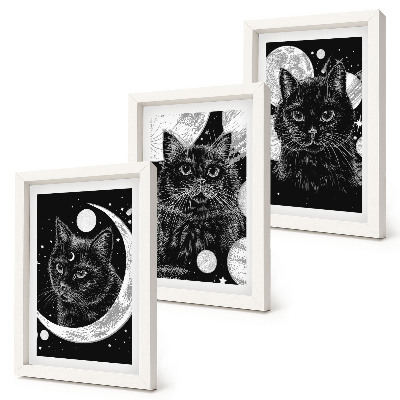 Composizione di 3 quadri Gatti neri sullo sfondo della luna e dei pianeti nello spazio