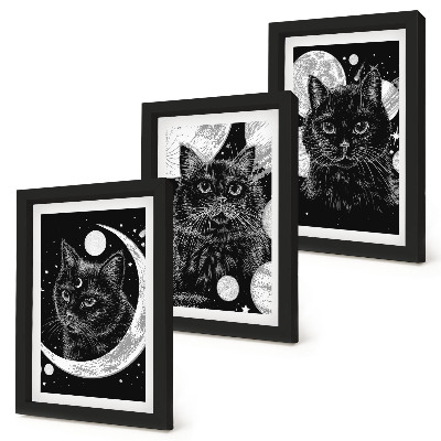 Composizione di 3 quadri Gatti neri sullo sfondo della luna e dei pianeti nello spazio