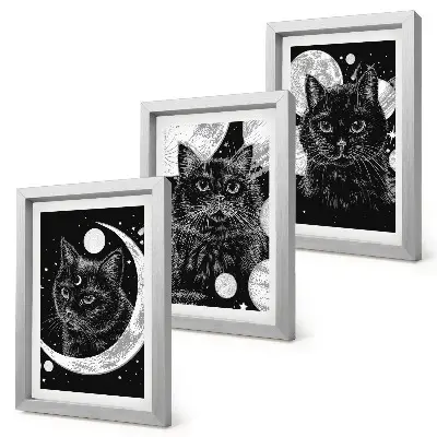 Composizione di 3 quadri con gatti neri e pianeti nello spazio