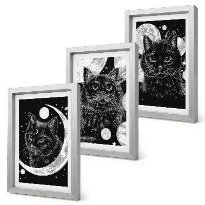 Composizione di 3 quadri Gatti neri sullo sfondo della luna e dei pianeti nello spazio