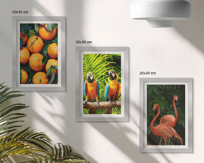 Trittico incorniciato Accenti fruttati con pappagalli e fenicotteri ai tropici