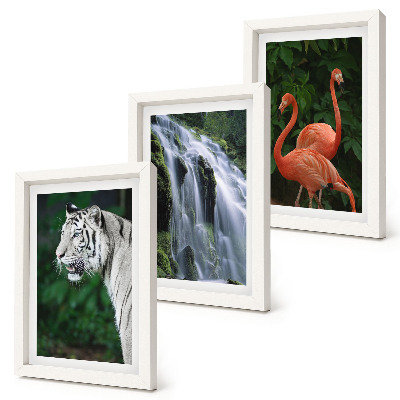 Composizione di 3 quadri Cascata della Tigre e fenicotteri rosa nella natura