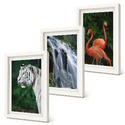 Cascata della Tigre e fenicotteri rosa nella natura composizione di 3 quadri