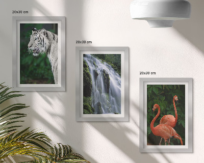 Composizione di 3 quadri Cascata della Tigre e fenicotteri rosa nella natura
