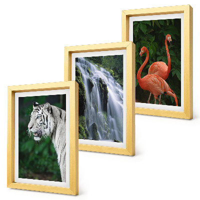 Composizione di 3 quadri Cascata della Tigre e fenicotteri rosa nella natura