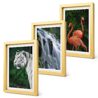 Cascata della Tigre e fenicotteri rosa nella natura composizione di 3 quadri