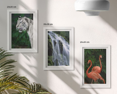 Composizione di 3 quadri Cascata della Tigre e fenicotteri rosa nella natura