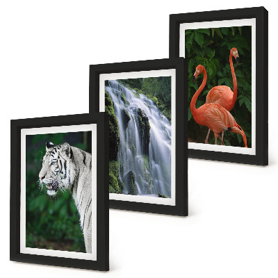 Composizione di 3 quadri Cascata della Tigre e fenicotteri rosa nella natura