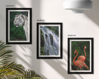 Composizione di 3 quadri Cascata della Tigre e fenicotteri rosa nella natura