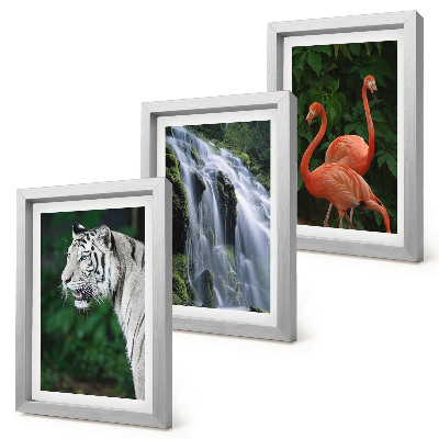 Composizione di 3 quadri Cascata della Tigre e fenicotteri rosa nella natura