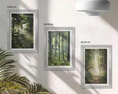 Composizione di 3 quadri con foreste verdi, raggi di luce e un sentiero nel bosco