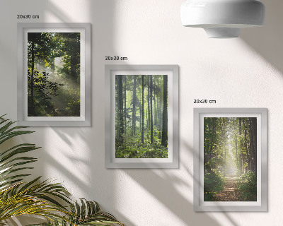Composizione di 3 quadri Foreste verdi con raggi di luce e un sentiero nel bosco