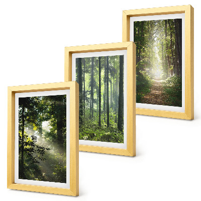 Composizione di 3 quadri Foreste verdi con raggi di luce e un sentiero nel bosco