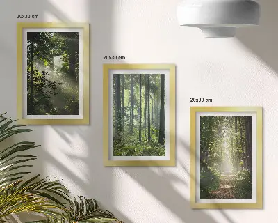Composizione di 3 quadri con foreste verdi, raggi di luce e un sentiero nel bosco