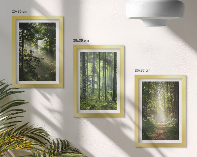 Composizione di 3 quadri Foreste verdi con raggi di luce e un sentiero nel bosco