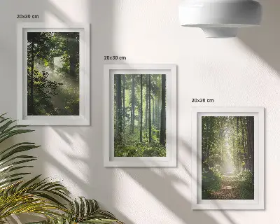 Composizione di 3 quadri con foreste verdi, raggi di luce e un sentiero nel bosco