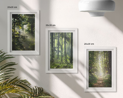 Composizione di 3 quadri Foreste verdi con raggi di luce e un sentiero nel bosco