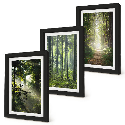 Composizione di 3 quadri Foreste verdi con raggi di luce e un sentiero nel bosco