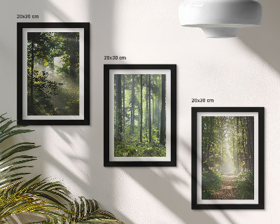 Composizione di 3 quadri Foreste verdi con raggi di luce e un sentiero nel bosco