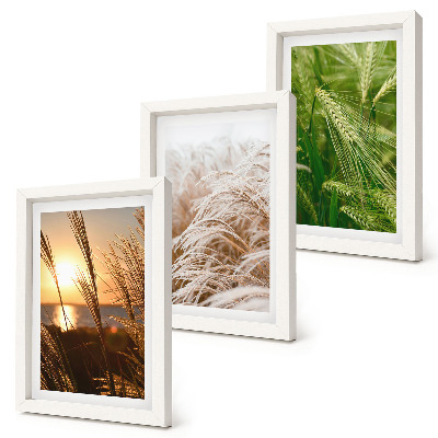 Trittico incorniciato Diversi tipi di erba, natura colorata
