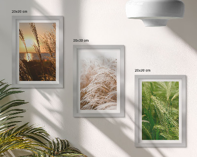Trittico incorniciato Diversi tipi di erba, natura colorata