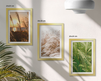 Trittico incorniciato Diversi tipi di erba, natura colorata