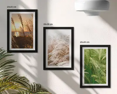 Trittico incorniciato rappresentazione di diversi tipi di erba in natura con colori vivaci
