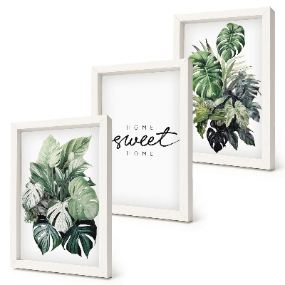 Composizione di 3 quadri Piante verdi con la scritta Sweet Home