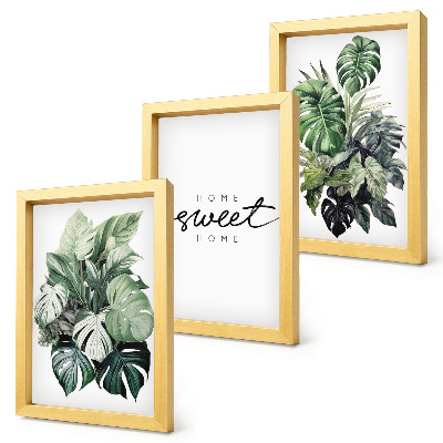 Composizione di 3 quadri Piante verdi con la scritta Sweet Home
