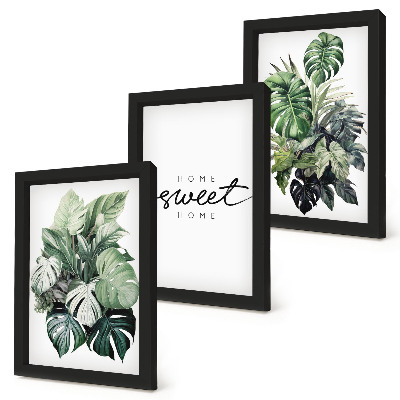Composizione di 3 quadri Piante verdi con la scritta Sweet Home