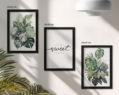 Composizione di 3 quadri Piante verdi con la scritta Sweet Home