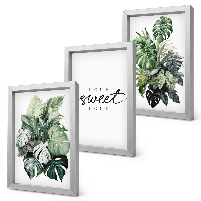 Composizione di 3 quadri Piante verdi con la scritta Sweet Home