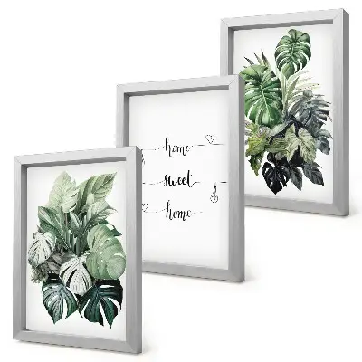 Trittico di quadri con foglie di Monstera ad acquerello decorazione da parete Casa dolce casa