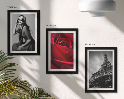 Trittico incorniciato Parigina con occhiali da sole rosa e la Torre Eiffel