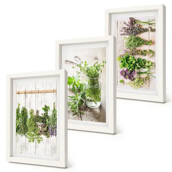 Trittico incorniciato quadro con essiccazione di erbe aromatiche e piante per la cucina