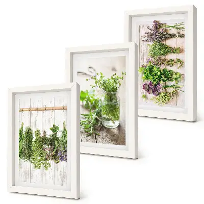 Trittico incorniciato quadro con essiccazione di erbe aromatiche e piante per la cucina