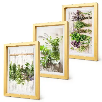 Trittico incorniciato quadro con essiccazione di erbe aromatiche e piante per la cucina