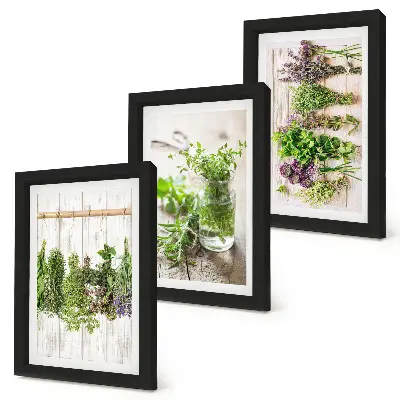 Trittico incorniciato quadro con essiccazione di erbe aromatiche e piante per la cucina