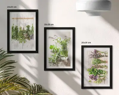 Trittico incorniciato quadro con essiccazione di erbe aromatiche e piante per la cucina